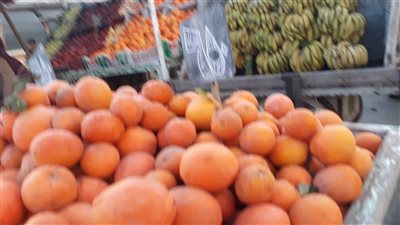 أسعار الخضروات والفاكهة اليوم الثلاثاء 26 مارس في بورسعيد