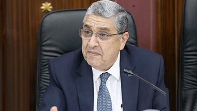 محمد شاكر: « أسعار الكهرباء في مصر لسه قليلة»