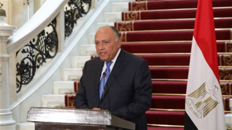 وزير الخارجية 
