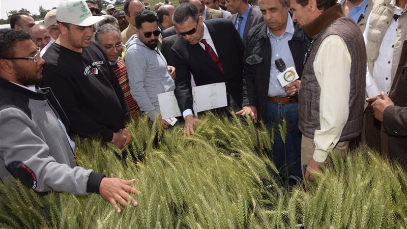 محطة بحوث سدس الزراعية