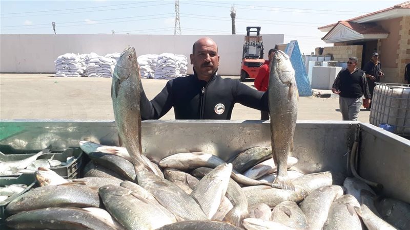 مشروع الاستزراع السمكي