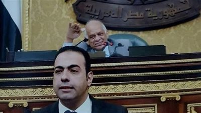 النائب محمود حسين: الجولان عربية.. وترامب يسعى لحرق العالم