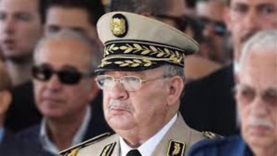 ماذا قال نائب وزير الدفاع الجزائري عن المادة 102 من الدستور؟