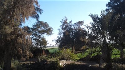 الأرصاد الجوية تكشف مفاجأة في حالة الطقس اليوم ببني سويف