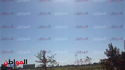 صور| تعرف على حالة الطقس اليوم بالمنوفية