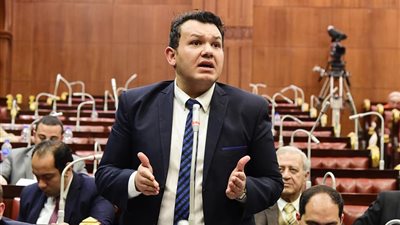 أحمد مقلد لـ«بوابة المواطن»: ناقشنا التعديلات الدستورية 2019 دون قيود