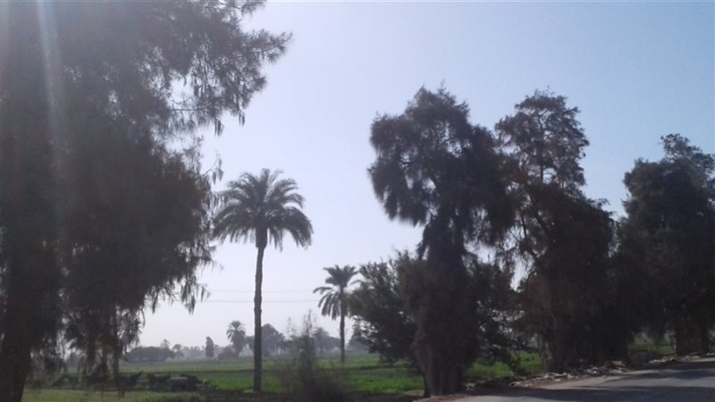 حالة الطقس اليوم