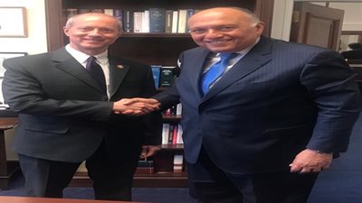 «شكري في الكونجرس».. تساقط الدول الوطنية يساعد «التنظيمات الإرهابية»