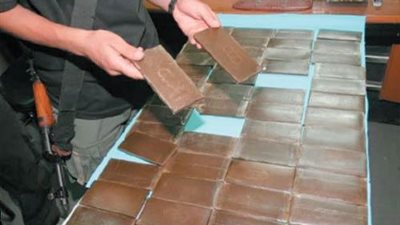«36 طربة حشيش» أبرز جهود مكافحة المخدرات في الدقهلية