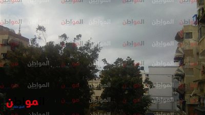 حالة الطقس اليوم الجمعة 29 مارس 2019 ببورسعيد