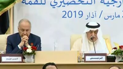 أحمد أبو الغيط : الجولان السورية عربية رغم أنف الجميع 