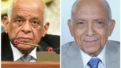 ما هو مقال الدكتور محمد غنيم الذي جعل رئيس مجلس النواب يشكره