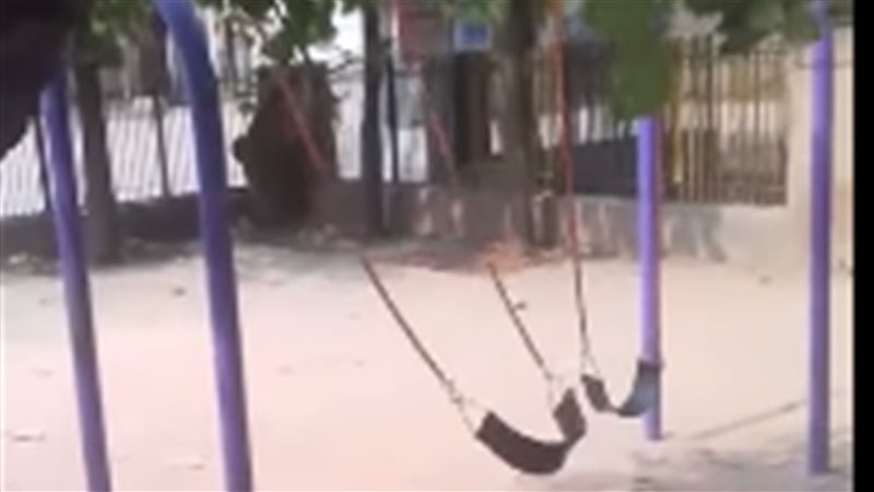 مرجيحة الموت 