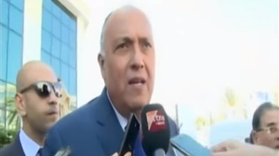 فيديو| وزير الخارجية: مصر تتابع الأزمة الليبية بشكل متواصل