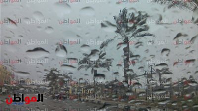 فيديو| الأرصاد الجوية تكشف مفاجأة في حالة الطقس اليوم ببورسعيد