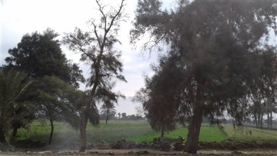 تعرف على حالة الطقس اليوم ببني سويف 