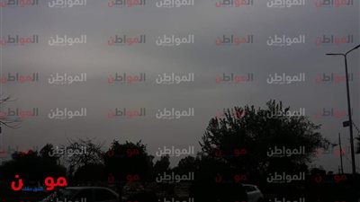 صور| تعرف على حالة الطقس اليوم بالمنوفية