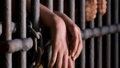 بسبب تهيج الرأي العام..  الحبس عامين لشاب في «ميت سلسيل»