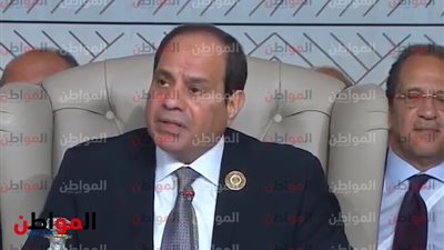 عبد الفتاح السيسي في القمة العربية 30: «نمر في منعطف خطير» 