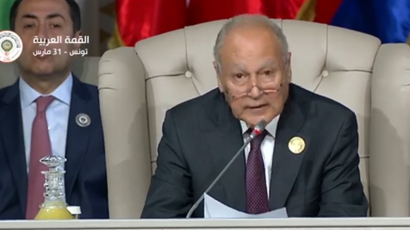 أبو الغيط في القمة