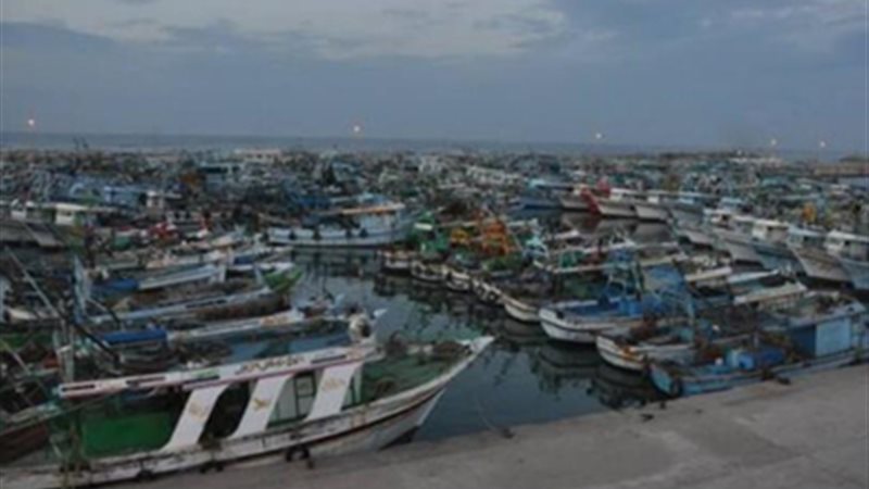 ميناء البرلس البحري-حالة