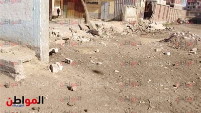 صور| تعرف على حالة الطقس بالمنوفية اليوم