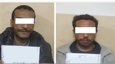 أمن الغربية ينجح في القبض على تنظيم عصابي بطنطا والمنوفية 