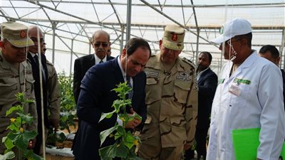 ما تريد معرفته عن مشروع الصوب الزراعية