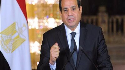 السيسي يوجه بسرعة الانتهاء من تنفيذ مشروعات الطاقة الكهربائية الجديدة