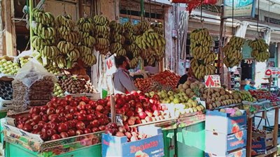 استقرار في أسعار الفاكهة والخضروات بأسواق الغربية 