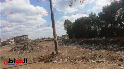 صور| تعرف على حالة الطقس اليوم بالمنوفية
