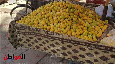 «اعرف راسك من رجليك».. أسعار الخضروات في رمضان 2019 هتزيد ولا لأ؟