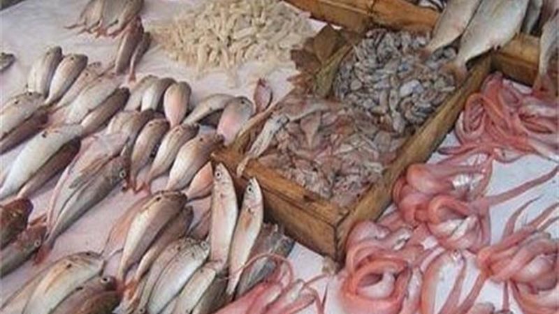 أسعار السمك اليوم