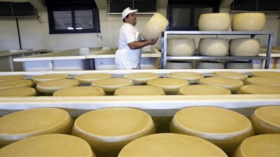 الارتفاع يسيطر على مؤشر الفاو لأسعار منتجات الألبان 