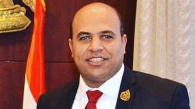 خاص| هشام الهمامي: الشعب يعلم جيدا كيف ستحيا مصر