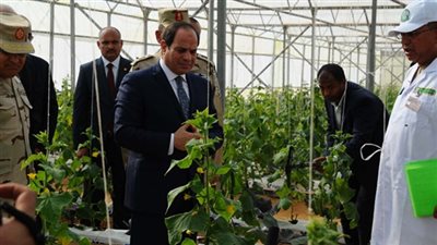 في السريع .. هذه أهمية مشروع الصوب الزراعية في الحمام 