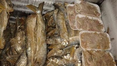 استعداد لشم النسيم.. 104 طن رنجة فاسدة في الغربية 