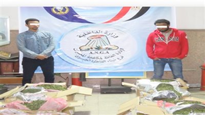 فيديو| ضربة قوية لشرطة ميناء القاهرة تُسقط 295 كيلو «القات»