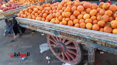 قبل الموسم الرمضاني 2019.. أسعار الخضروات والفاكهة ببورسعيد