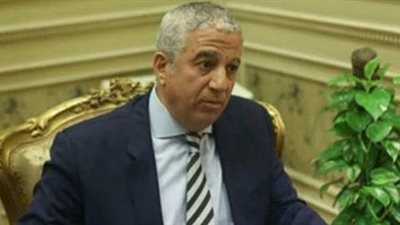 رئيس «خارجية النواب»: قرارات ومواقف مصر ثابتة لا تتغير 