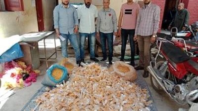 مراقبة الأغذية بالفشن تضبط أغذية فاسدة بمجلس قروى دلهانس