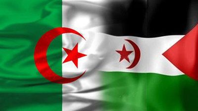 خاص| عضو جبهة البوليساريو يكشف دور الجزائر مع بلاده