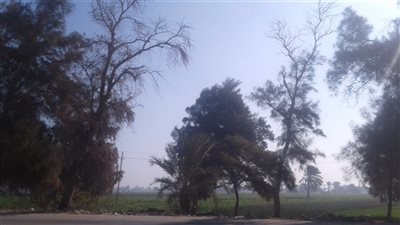 مفاجأة في حالة الطقس اليوم ببني سويف