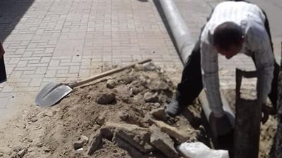 وسط الإسكندرية يستعد لاستضافة بطولة كأس الأمم الإفريقية 2019