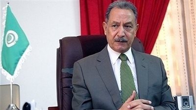 مساعد وزير الخارجية الأسبق: مصر لها دور مؤثر في القارة الأفريقية 