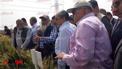 وزير الزراعة: نسبة إصابة القمح بالصدأ لا تتجاوز واحد في الألف 