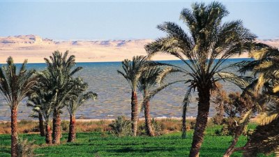 موجة حارة ورياح سريعة.. طقس الفيوم ظهيرة اليوم السبت