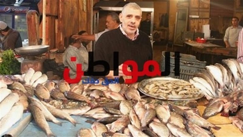 أسعار الأسماك اليوم