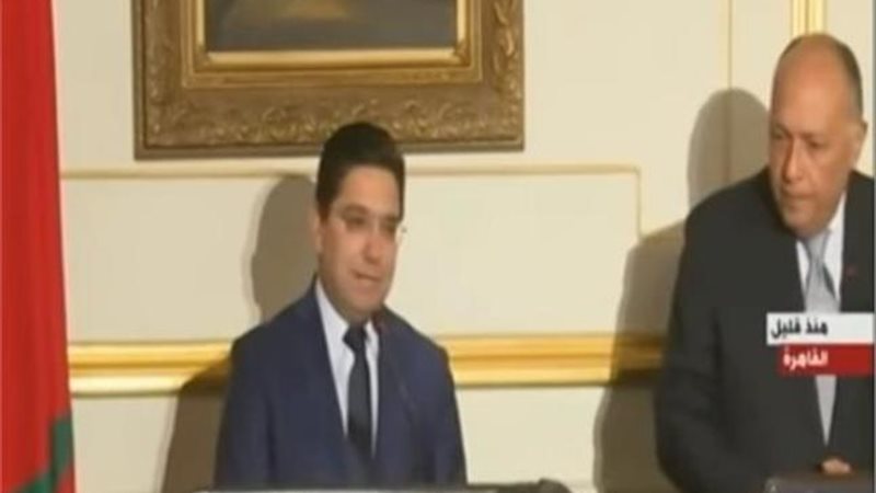 عضو المجلس المصري