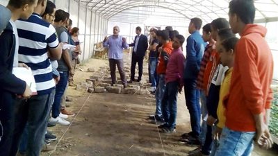 مشروع الصوب الزراعية في الحمام خطوة لتحقيق التنمية المستدامة